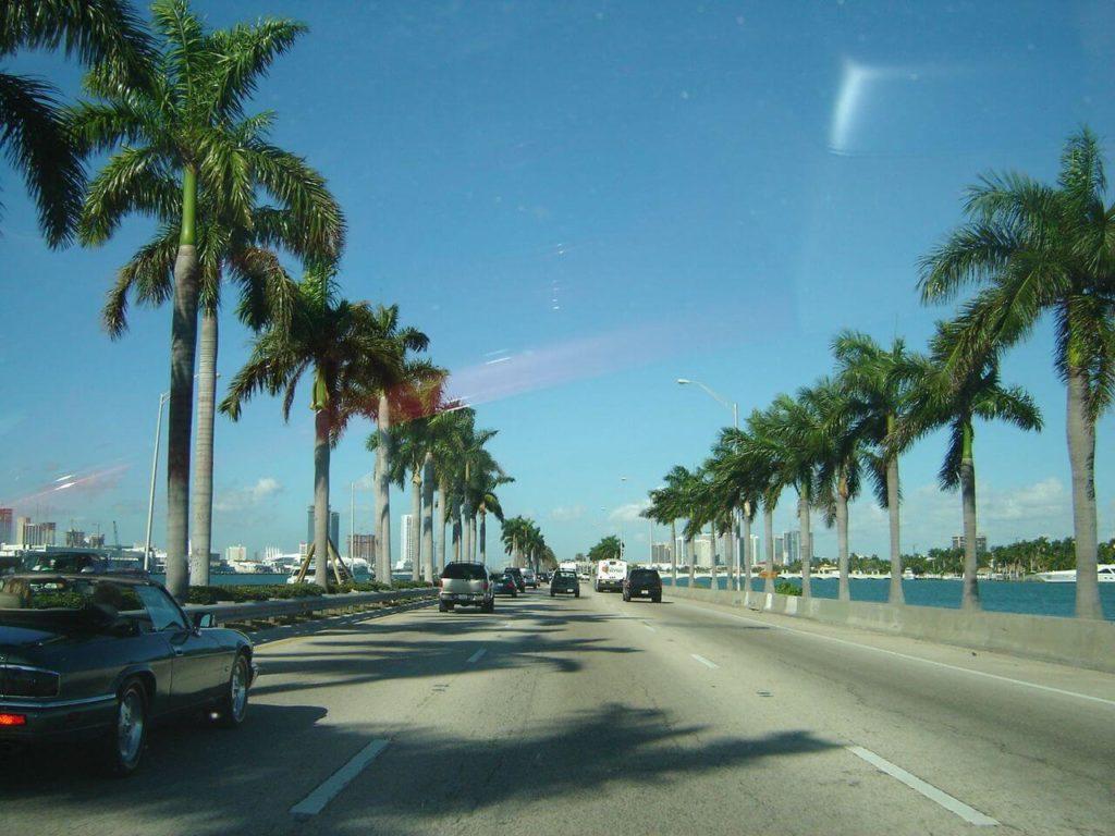 Miami Beach Straße mit Palmen Ausflug von Cape Coral
